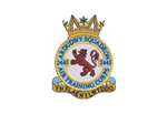 2445 Ardudwy Squadron